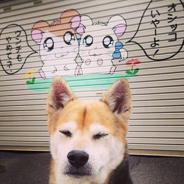 国足热身赛实战目的与效果差异,国足热身赛时间安排