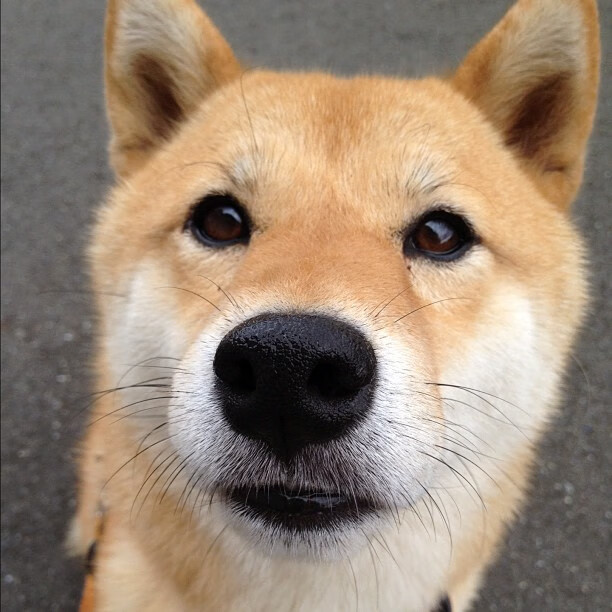 德甲球队利用神经反馈提升球员专注力的实证分析