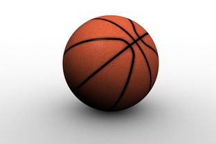 九游体育官网-CBA俱乐部深化教练团队专业化建设提升训练质量，cba训练计划